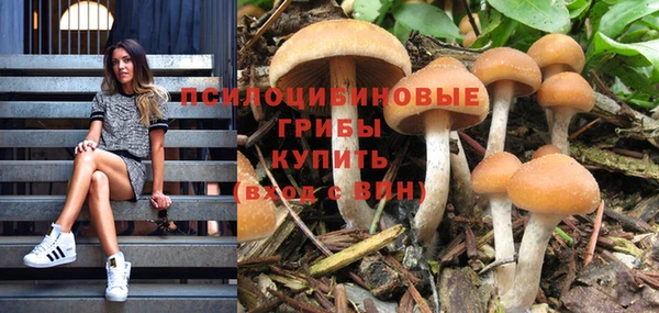 альфа пвп Протвино
