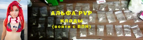 сатива Пролетарск