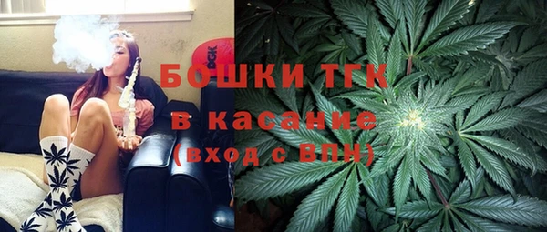 сатива Пролетарск