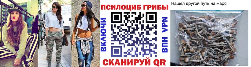 Галлюциногенные грибы мицелий  как найти закладки  Адыгейск 